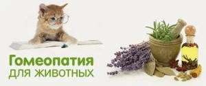 1147 01 Гомеопатия